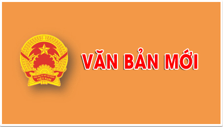 Chính phủ ban hành Nghị định số 176/2024/NĐ-CP Quy định quản lý, sử dụng kinh phí thu từ xử phạt vi phạm hành chính về trật tự, an toàn giao thông đường bộ và đấu giá biển số xe sau khi nộp vào ngân sách nhà nước